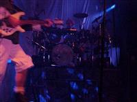 Live Shots